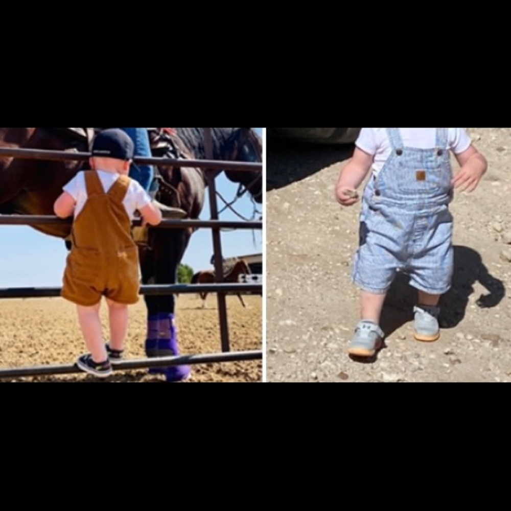 carhartt shortalls  2 pairs. 1 stripe overall and one duck brown